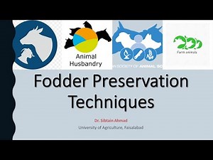 Fodder preservation techniques