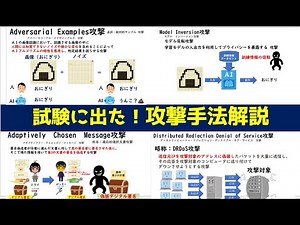 Explanation of attack methods / Adversarial Examples Attack / Model Replay Attack / Adaptive Sele...