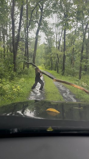 3.7K views · 2.6K reactions | Each step to Valhalla is built on sacrifice. Excuses never make it past the gate. Do not skip the gym. Have a good weekend.⚔️ #valhalla #norse #workout #viking #tree | Hannah Reeve | Facebook
