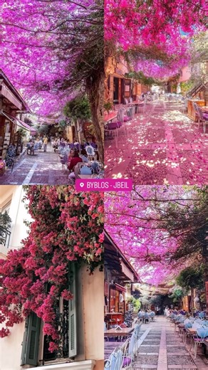 33K views · 264 reactions | Lebanon is a living story, full of art, history, and love. It’s a country that surprises and excites you, like the first bloom ✨變 #visitlebanon video by @explore.beirut #lebanon #lebanese #beirut #livelovebeirut #livelovelebanon | Live Love Beirut | Facebook