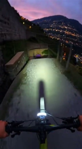 Vineyard E-Bike Surprise