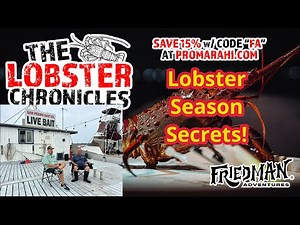 SoCal Lobster Season Kickoff: Best Bait Tips, ￼Bait Receiver Etiquette & Hoop Net Secrets