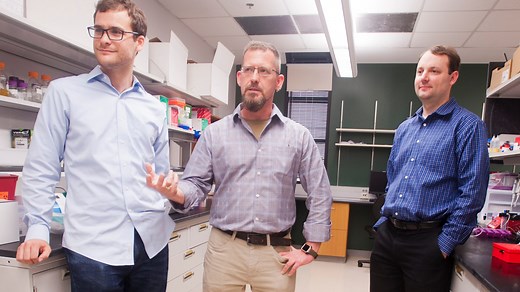 U of L researchers develop freeze-dried blood that could save soldiers and astronauts