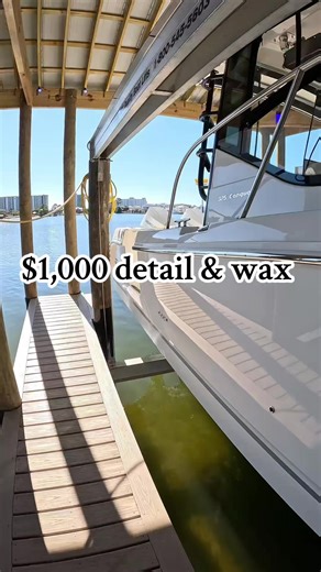 Expert Car Detailing and Waxing in Florida