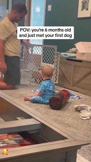 299K views · 10K reactions | : baby first time met baby very happy 﫶﫶❤️ #usa #dogs #Love #baby #bestfriend #happy #dogs | Peta baby time666 | Facebook