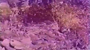 Traces of Death 2 (1994) [Damon Fox] 4,8 eng