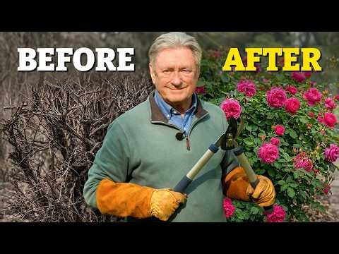 Avoid These Costly Pruning Mistakes This Season!