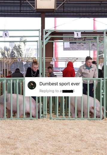 Essential Skills for Successful Pig Farming