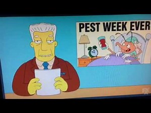 How Did We Get Bed Bugs?