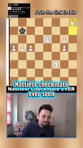 Natty Checkmate Moves in Chess
