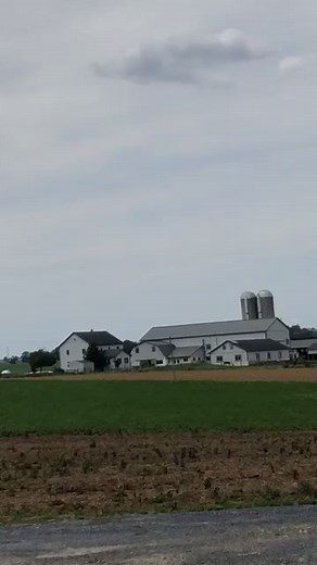 Doin a little burnout on some open headers ##71chevelle #burnouts #sbc #openheaders #loudpipes
