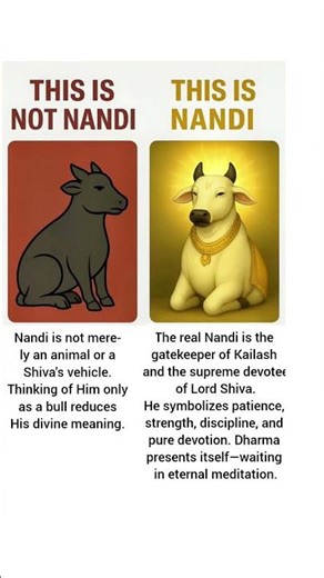 Who is Nandi? #nandi #shiv #mahadev #bholenath #sanatandharma #mahakal #shorts