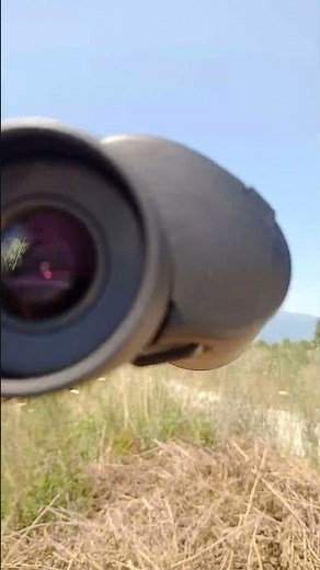 olympus BINOCULARS 10X50 S