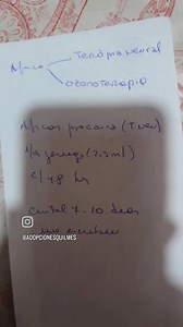 51 reactions · 25 shares | Martino es victima del abandono y de una...