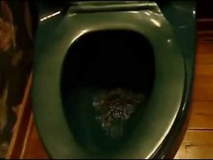 Me Flushing Toilets 2005