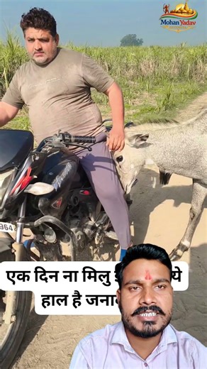 #timelapse, start to finish alone buildlog cabin (wooden house), howto build wooden cabin, surviva