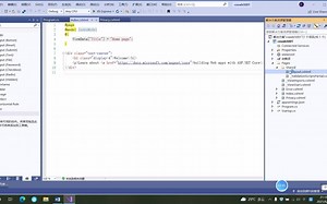 cs302(c# web 登录)