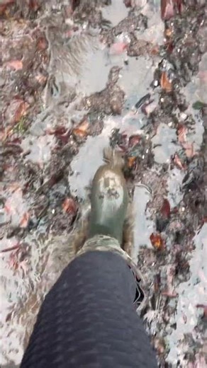 Deep Mud & Sticky Puddles ASMR #asmr #nature