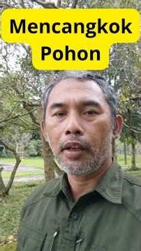 Mencangkok Pohon #gogreen #organik #kompos #komposter #pertanian #berkebun #ramahlingkungan