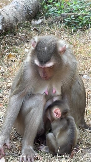 Emergency Response to a Fire Incident