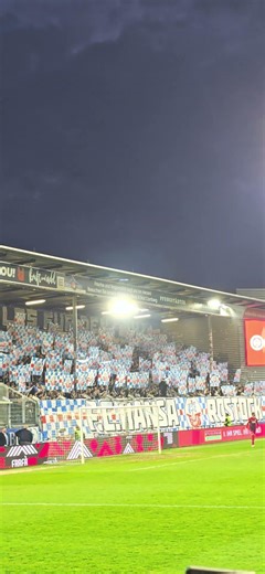 Hansa Rostock Fan Support in Wiesbaden #hansarostock