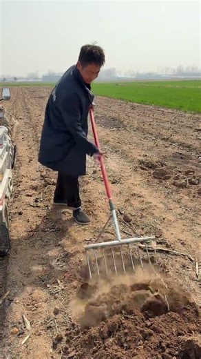 Effortless Land Clearing & Soil Prep: Your Ultimate Gardening Solution