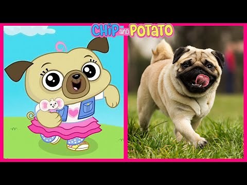 Chip and Potato 🔥 Real Life