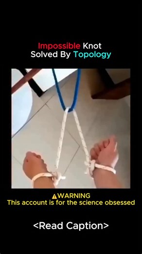 Science on Instagram: "🍩 Mathematics: The Science Of Continuous Deformation Topology Is Often Called “Rubber Sheet Geometry” Because It Focuses On Properties That Remain Unchanged Under Continuous Deformation. 🔄 To A Topologist, A Coffee Mug And A Donut Are The Same Object Because One Can Be Stretched Into The Other Without Tearing Or Gluing. They Both Have A Genus (g=1), Meaning They Possess One Hole. The Demonstration Visualizes Knot Theory, The Study Of Closed Curves In Three-Dimensional Sp