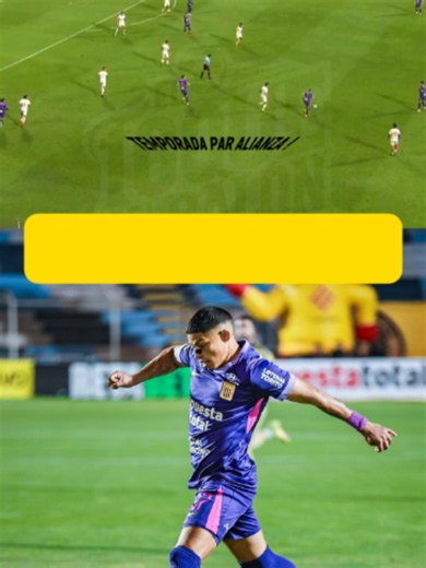 🔵⚪🔥 ¡POR FIN LLEGÓ EL GOL DE KEVIN QUEVEDO EN ESTA TEMPORADA! ⚽ ¡QUEVEGOL VOLVIÓ A CELEBRAR! El atacante de Alianza Lima volvió a encontrarse con el gol en una temporada marcada por la falta de continuidad bajo la dirección técnica de Pablo Guede. 📊 EL DATO: Kevin Quevedo no marcaba desde la temporada pasada, cuando el equipo era dirigido por Néstor Gorosito. Ahora vuelve a festejar con la camiseta blanquiazul. 💙🤍 💬 ¿PODRÁ QUEVEDO RECUPERAR SU MEJOR VERSIÓN CON PABLO GUEDE? #AlianzaLima #L