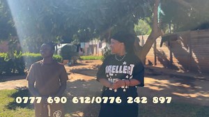 67K views · 2.9K reactions | Matrix Private Investigations & Security Services Tafadzwa Chidawa get in touch on the numbers on the screen to register | Royal Mint | Facebook