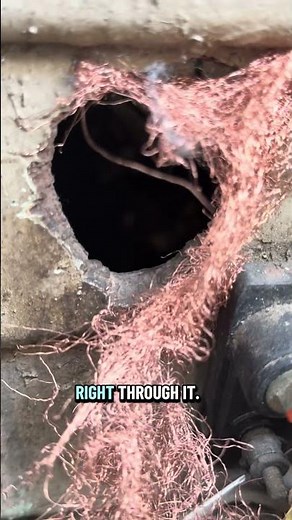 Does copper mesh Deter Rats? 🐀