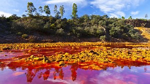 Wacky Weekend: Weird Waters