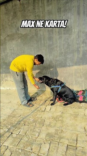 Max ne karta! #tranding #viral #viral #ytshorts #viral #