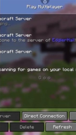 join my minecraft server