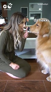 Linda gibs me chimken out of her slobber trap. . . 😉🤢 Tucker Budzyn | Furry Tails