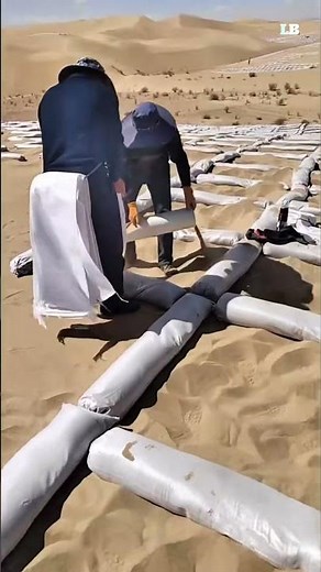 How Sand Grid Barriers Are Turning Deserts Green #learnerbytes