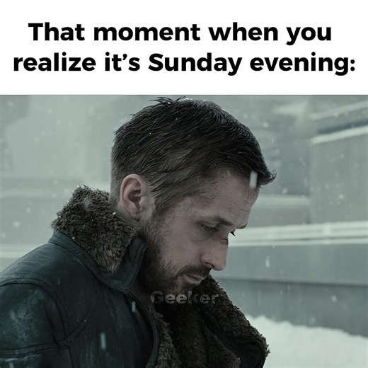 Sunday Evening Reflections: Relatable Moments