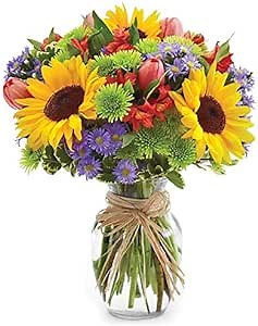 From You Flowers - Lush Sunflower Garden with Glass Vase | Fresh Flower Bouquets for Birthday, Anniversary, Get Well or Celebration