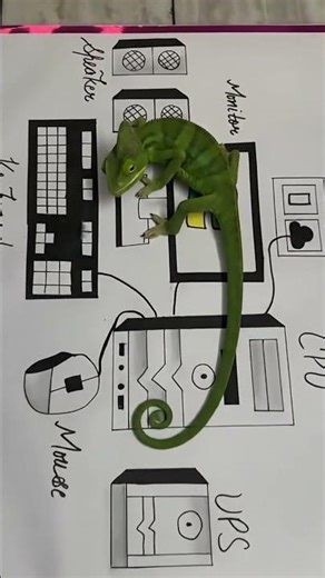 computer software industry in #shortvideo #lifeisbutadream #ihavethisthingwithplants #jbl #speaker