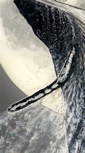 “Humpback Moon” by renowned Graffiti artist SEBO