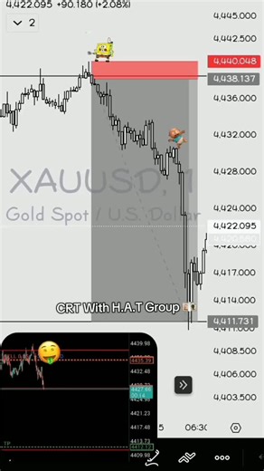 FX Hacker's📉💸📊 C.E.O Founder Of.... CRT With H.A.T Group) #foryou #fvp #trending #viral #unfreezemyacount