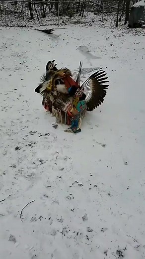 673K views · 10K reactions | 珞northern traditional pow wow dance.☀️ #powwow #nativeamerican #indigenous | Native Culture | Facebook