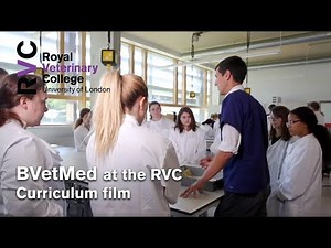 BVetMed at the RVC - Curriculum Film