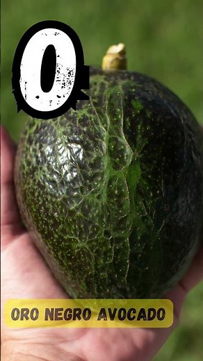 ABC Fruit Song 🍎| Learn Fruits A to Z | Fun Alphabet Song for Kids | #abcd #kids #shorts #viralvideo