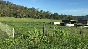 We will be hosting our first farm tour for the year next Sunday the 26th March. Here is a little taste of what you will get to experience. Bookings are necessary as we do limit the tours to 70 people. To secure your place, head to our website http://frecklefarm.com.au/public-farm-tours/ | Freckle Farm