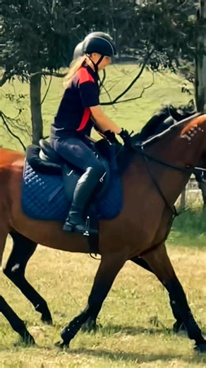 2K views · 29 reactions | Hamilton Pony Club - November Rally  | Hamilton Pony Club | Facebook
