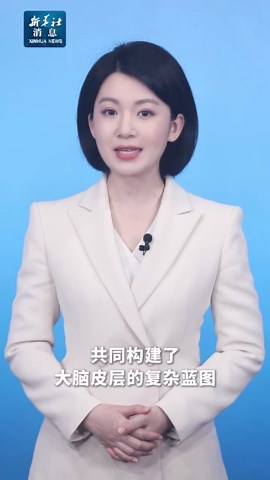 新华社消息｜我国科学家找到了大脑皮层的起源