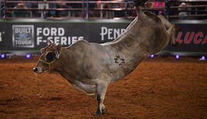 An Idaho Rodeo Goer Pulled His Pistol On A Rogue Bull That Jumped Into The Stands And It Was Chaotic