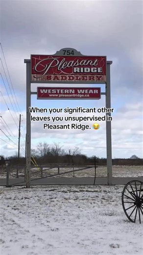 What Happens When You're Unsober in Pleasant Ridge?