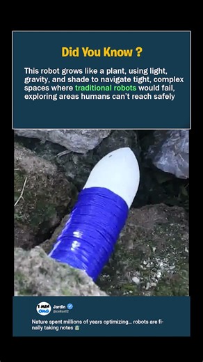 This Robot Grows Like a Plant to Explore Tight Spaces